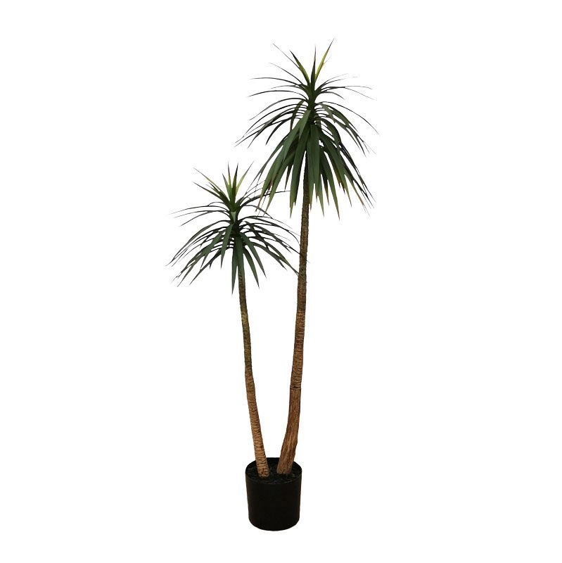 PLANTA 166CM