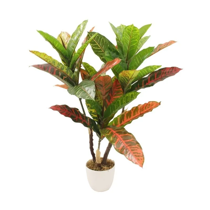 PLANTA DE 60CM