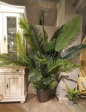PLANTA LIVORNO 195CM