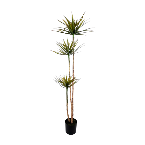 PLANTA 180CM